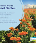 Boiron Stresscalm Tablets For Relief Of Stress Anxiousness Nervousness Irritability And Fatigue 120 Count (2 Pack Of 60)