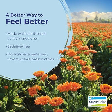 Boiron Stresscalm Tablets For Relief Of Stress Anxiousness Nervousness Irritability And Fatigue 120 Count (2 Pack Of 60)