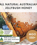 BIOSOTA Organic Manuka Honey MGO 550+ - Medical Grade Manuka Honey from Australia NPA/ULF 15+, 100% Raw Unheated Pure Honey, 8.8oz (550+) (MGO 550+)