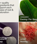 Ag1 Agz Sleep Drink Sampler (Athletic Greens) Melatonin Nighttime Blend With Magnesium Ashwagandha Saffron & Valerian " Herbal & Adaptogen Sleep Supplement " 3Serving Flavor Pack