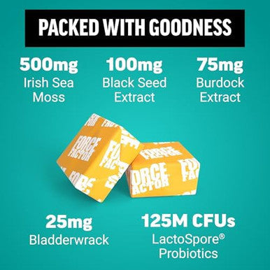 Force Factor Superior Sea Moss Gut Health + Skin Support Support Gut Health & Healthy Skin Hair & Nails Boost Energy & Immune Health With Biotin & Lactospore Probiotics S'Mores 60 Soft Chews