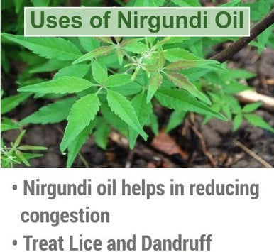 NIRGUNDI OIL 100% NATURAL PURE UNDILUTED UNCUT ESSENTIAL OIL 15ML by Salvia