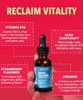 Havasu Nutrition Usda Organic Vitamin B12 Liquid Drops - Methylcobalamin For Enhanced Energy And Nervous System Support - 30 Servings - Highly Bioavailable For Absorption - Non-Gmo Vegan Strawberry Flavor 1 Fl Oz