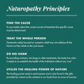 MICHAELS Health Naturopathic Programs Male and Female Reproductive Factors Couples Pack 60 Vegetarian Tablets Per Bottle Nutrients for Conception Support 20 Servings Per Bottle