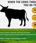 Bold Belly Colostrum Powder Supplement 53 Oz