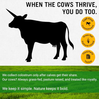 Bold Belly Colostrum Powder Supplement 53 Oz