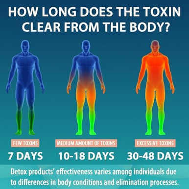 MythoTecq Detox and Cleanse Body Detox for Men and Women Fast Detoxification Kidney Cleanse andRepair Natural Herbal Premium Formula for Liver Digestion and Mood