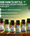 Gurunanda Essential Oil Blends 6 Pack (10Ml Each) Breathe Easy Tranquility Relaxation Harmony Calming Sleep & Thrive Natural Aromatherapy Oils For Diffuser Wellness & Diy