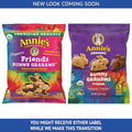 Annie's Organic Friends Bunny Grahams - Pack of 20 - Delicious Baked Grahams - Chocolate Chip and Chocolate Honey Flavors - Certified Organic