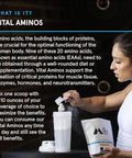 Momentous Vital Aminos Powder Supplement - Bcaa & Eaa, Tropical Punch - Nsf Certified, Gmo-Free, Gluten Free, 30 Servings (Package May Vary)
