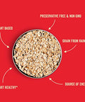 Stoked Oats - Mountain Maple High Protein, Low Sugar Breakfast - Gluten Free, High Fiber, Non GMO Oatmeal - Perfect for overnight oats (11.3oz)