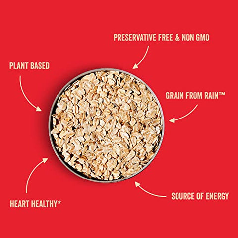 Stoked Oats - Mountain Maple High Protein, Low Sugar Breakfast - Gluten Free, High Fiber, Non GMO Oatmeal - Perfect for overnight oats (11.3oz)