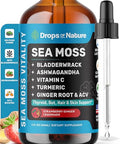 Drops Of Nature Ashwagandha & Turmeric Liquid Drops - Vitamin C Sea Moss Apple Cider Vinegar Bladderwrack - Vegan Liquid Drops For Comprehensive Wellness Support & Vital Immunity (Strawberry Ginger Lemonade 60Ml)