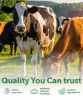 Micro Ingredients Bovine Colostrum Per Serving 240 Capsules 1000 Mg