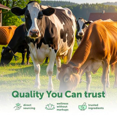 Micro Ingredients Bovine Colostrum Per Serving 240 Capsules 1000 Mg