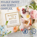 Savannah Bee Company Blossom to Bottle - 6 Jars of Different Varieties of Organic Honey in Unique Packaging