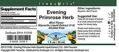 Terravita Evening Primrose Herb Glycerite Liquid Extract (1:5) - Mint Flavored (1 Oz, Zin: 513192)