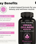 Vital Vitamins Vegan Collagen Booster Plant Based Collagen Supplements Supports Hair Skin Nails and Joints with Hyaluronic Acid 60 Capsules