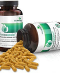 Futurebiotics Stressassist Ltheanine Ashwagandha And Rhodiola Rosea Stress Complex Natural Nutritional Stress Function 90 Vegetarian Capsules