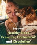 Nature'S Bounty Nature S Bounty Advanced Vital Heart With Coq10 Magnesium Antioxidant Supports Healthy Blood Pressure Cholesterol Circulation Triple Action Formula Coq10 Magnesium Supplement 60 Softgels