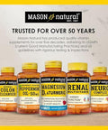 Mason Natura Nac Nacetyllcysteine 500 Mg 6 Month Supply Supports Normal Cellular Health Immune System Booster For General Wellness 3 Pack