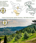 Laudemio Sorgenti, +650 mg/kg Tuscany Polyphenols Rich Extra Virgin Olive Oil, Fresh 2024-2025 Early Harvest, 2025 NYIOOC Gold Award, Frantoio Monovarietal, Lab Tested, No Pesticides, 16.9 fl oz