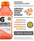 Gatorlyte Rapid Rehydration Electrolyte Beverage, Watermelon, 20oz Bottle