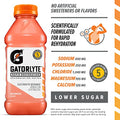 Gatorlyte Rapid Rehydration Electrolyte Beverage, Watermelon, 20oz Bottle