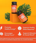 Havasu Nutrition High Strength Ashwagandha Supplement Capsules (45 Servings) & French Maritime Pine Bark Extract Capsules (30 Servings)
