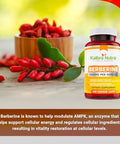 Kaibro Nutra Berberine 500mg 1000mg Per Serving for Supports Healthy Immune Function Anti oxidantGastrointestinal and Overall Wellness 120 Capsules