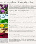 Stonehenge Health Dynamic Liver Siliphos Milk Thistle Formula Liver Support & Antioxidant Support Gut-Liver Axis Selenium Zinc Vitamin E Ginger Beetroot Extract Non-Gmo 60 Veg Caps