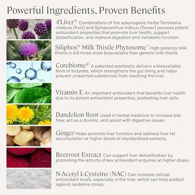 Stonehenge Health Dynamic Liver Siliphos Milk Thistle Formula Liver Support & Antioxidant Support Gut-Liver Axis Selenium Zinc Vitamin E Ginger Beetroot Extract Non-Gmo 60 Veg Caps
