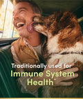 Nature's Bounty Echinacea Herbal Supplement Supports Immune Health 400Mg 100 Capsules