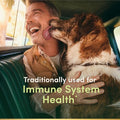 Nature's Bounty Echinacea Herbal Supplement Supports Immune Health 400Mg 100 Capsules