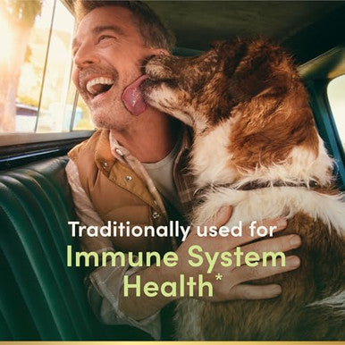 Nature's Bounty Echinacea Herbal Supplement Supports Immune Health 400Mg 100 Capsules