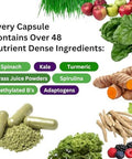 Paradise Herbs Earth'S Blend Once Daily Multi For Men & Bcomplex Bundle