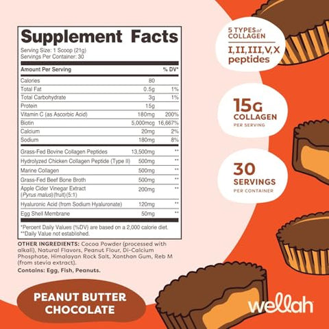 Wellah The Afterglow Multi Collagen Protein Beauty (Peanut Butter Chocolate Flavored) 30 Servings