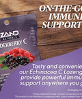Zand Immunity Elderberry Vitamin C Lozenges Immune Support Soothing Throat Drops Elderberry Vitamin C Ecea Extract No Cane Sugar Or Corn Syrup Gluten Non-Gmo (12 Bags 18 Lozenges)