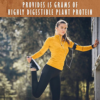 Garden Of Life Organic Plant Protein Chocolate Flavor Protein Powder With Probiotics & Enzymes Plant Based Powder Amino Acids Non-Gmo Grain-Free Gluten-Free Vegan 10 Servings