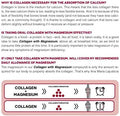 Ana Maria Lajusticia 3 Pack High Absorption Collagen Pills with Magnesium. Healthy Skin Nails Hair and Ligaments. Natural Supplement 450 Tablets.