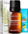 Gya Labs Pine Essential Oils For Diffuser & Lemongrass Essential Oil For Diffuser Set - Aromatherapy Grade Essential Oils Set - 2X0.34 Fl Oz - Gya Labs