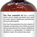 MAJESTIC PURE Tea Tree Essential Oil, Therapeutic Grade, Pure and Natural, for Aromatherapy, Massage, Topical & Household Uses, 4 fl oz (Pack of 2)