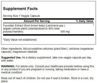 Swanson Maximum Strength Fucoidan Extract - Herbal Supplement Promoting Immune System Function - Natural Formula Supporting Overall Health - (60 Veggie Capsules 500mg Each) (3 Pack)