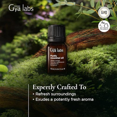 Gya Labs Purify Essential Oil Blend For Diffuser & Skin - Fresh & Cleansing Scent For Aromatherapy Air Freshener (0.34 Fl Oz)