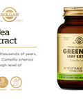 Solgar Standardized Full Potency Green Tea Leaf Extract Vegetable Capsules 60 Count