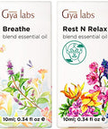 Gya Labs Breathe Essential Oil For Humidifier Cleaner & Rest & Relax Essential Oil For Diffuser Set - Aromatherapy Grade Essential Oils Set - 2X10Ml - Gya Labs