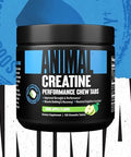 Animal Creatine Chews Tablets - Enhanced Creatine Monohydrate With Astragin To Improve Absorption, Sea Salt For Added Pumps, Delicious And Convenient Chewable Tablets - Fruit Punch