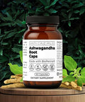 Santa Cruz Paleo Ashwagandha Root With Bioperine Herbal Supplement For Focus Stress Support Adaptogen For Men And Women Gluten Free Vegetarian Keto Friendly 600Mg Capsules 60 Count