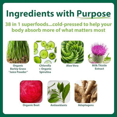 MacroLife Naturals Macro Greens Powder 38 Superfood Blend Vegan | GLP1-Friendly Digestive Enzymes Adaptogens 18 Billion CFU Probiotics Non GMO Vegan Gluten & Dairy-Free 90 Servings