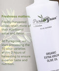 Pura Grove Organic Cold Pressed Extra Virgin Olive Oil Premium Grade - High Polyphenol - Hand Harvested & California Grown - 16.9Oz Opaque Glass Bottle 2024 Harvest 2025 Bottled